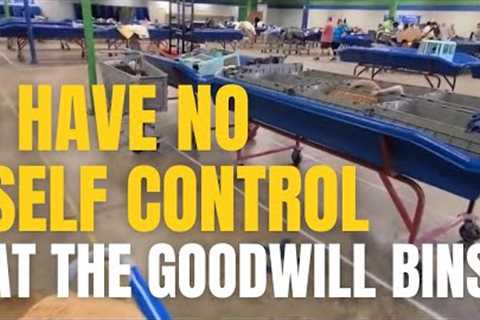 I have no self control at Goodwill Outlet bins • thrift with me • thrifted and styled home decor