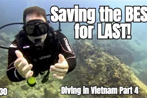SCUBA diving with Rainbow Divers Nha Trang Vietnam | Travel Vlog