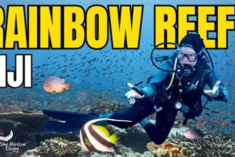 Scuba Diving RAINBOW REEF In Fiji! 🇫🇯