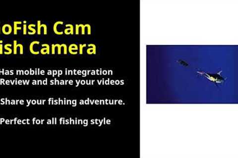 Don't Buy GoFish Cam Fish Camera UNTIL YOU SEE THIS FIRST!