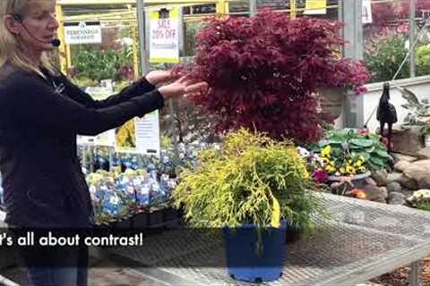 Landscaping Design Basics