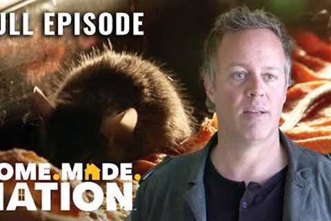 The Five-Day Race to Renovate the Pink Door &amp; Mouse Houses (S1, E8) | Flipping Vegas | Full Ep