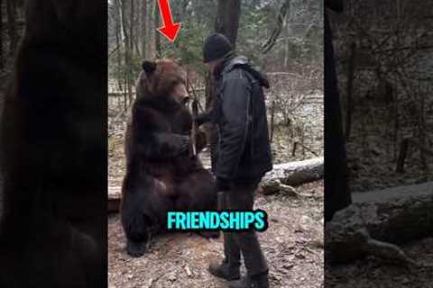 These Are the Most Unlikely Animal Friendships #shorts #funny #relatable #friendship #ranking #top5