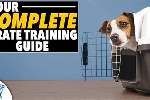 EVERYTHING You Need To Know Crate Training Plan