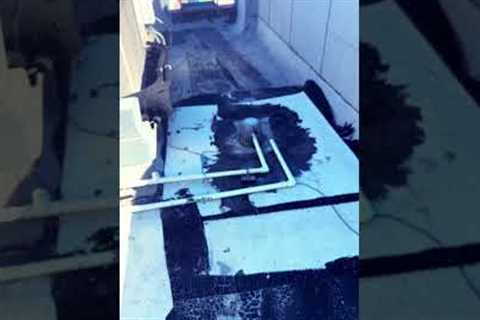 Can You Spot the Leak Before We Do?