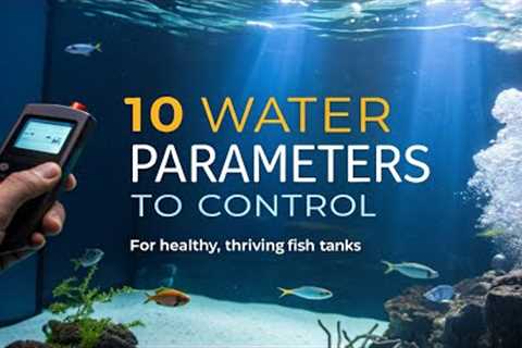 10 Aquarium Water Parameters to Control for Healthy Fish Tanks
