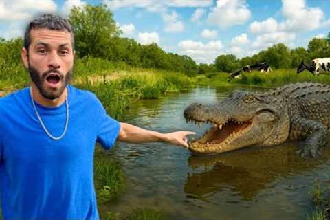 I FOUND A Camian In My COW POND!