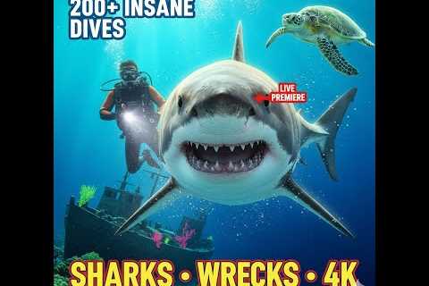 LIVE NOW: Epic Scuba Diving Adventures – Underwater Thrills, Hidden Reefs &amp; Marine Magic!