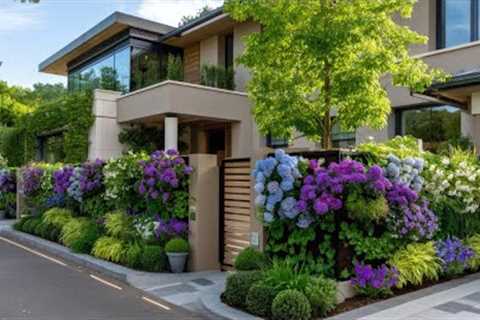 Small Yard, Big Impact | Front Garden Design Ideas That Look Expensive