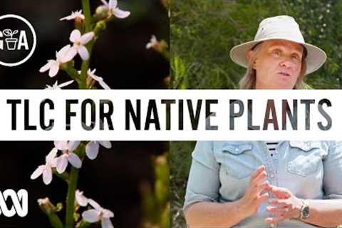 Native Plant Care Made Easy | Gardening 101 | Gardening Australia