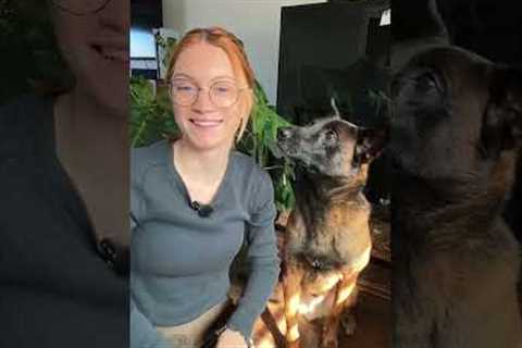 A quick Dog Training tip and something you can practice training with your dog! #dogowner