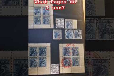 What Pages do I use for my Stamp Collection and Why?
