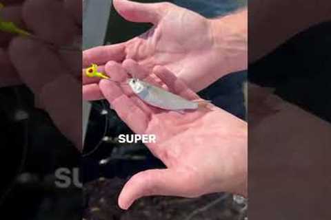 Easiest FLOUNDER Fishing Rig