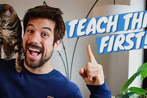 FIRST TRICK You Want to Teach Your CAT - Clicker Training Tutorial
