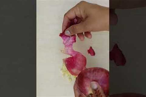 How to make homemade pesticide for plants #fertilizer #viral #shorts