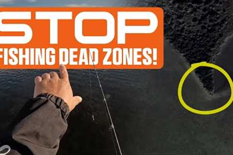 Shoreline Fishing EXPOSED: How to Find the Best Spots!