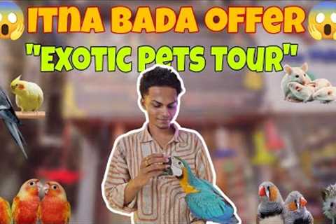 The Pet Jungle ka sabse bada offer on Exotic pets!