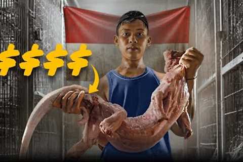 Indonesia’s Lizard Hustlers: Inside the Reptile Gold Rush