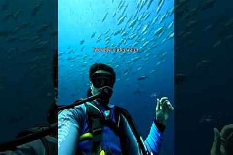 Scuba diving ar Netrani Island, Murdeshwar #travel #dive #divemurdeshwar #divinglife #divetrip #divi