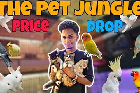 Price Drop at The Pet Jungle | Get Exotic Pets in Budget !