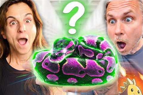 What Is This Mystery Snake Brian Barczyk Left Behind?