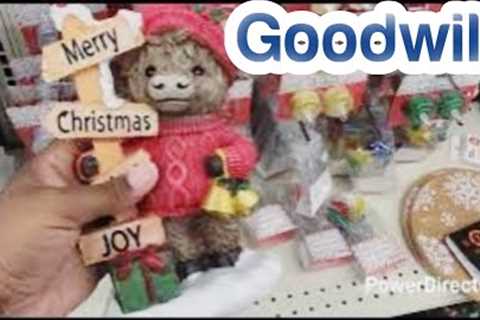 GOODWILL THRIFT WITH ME! NEVER A DULL MOMENT 🙄😡