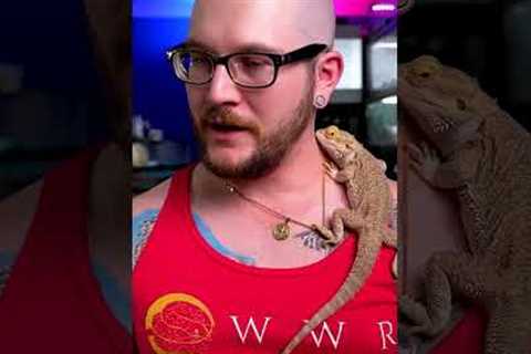 5 USELESS Reptile Products You're WASTING Your Money On!