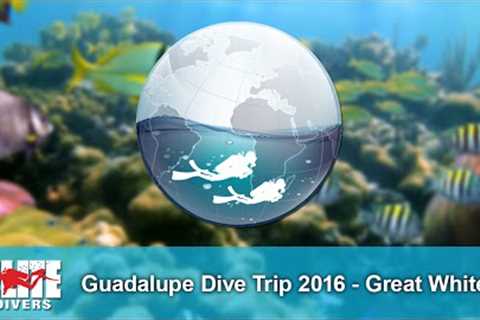 Elite Divers - Guadalupe Scuba Diving Trip 2016