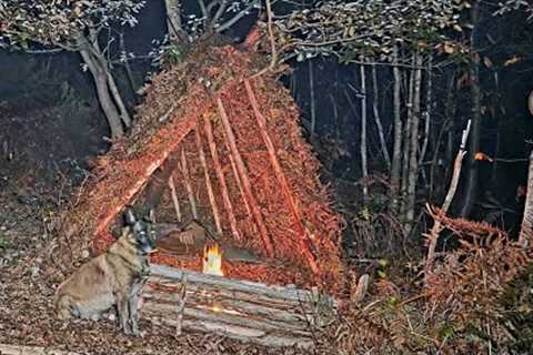 Survival in the Forest | Shelter, Campfire Cooking &amp; Peaceful Nature with My Dog