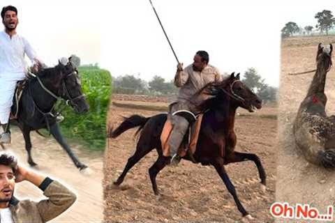 TIRAZ CHALLENGE HORSE RACING😱 GONE WRONG