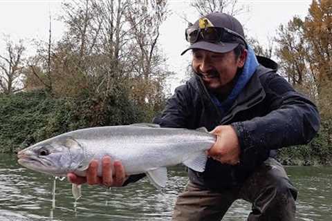 When river gets high, go where you normally don't fish - COHO SALMON FISHING | Fishing with Rod