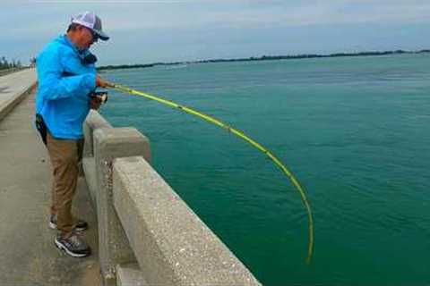 This Never Happens! | Florida Bridge Fishing Gets Wild