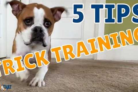 5 Tips for Dog Trick Training with Susan Garrett