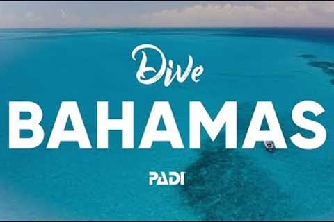 Scuba Diving in the Bahamas