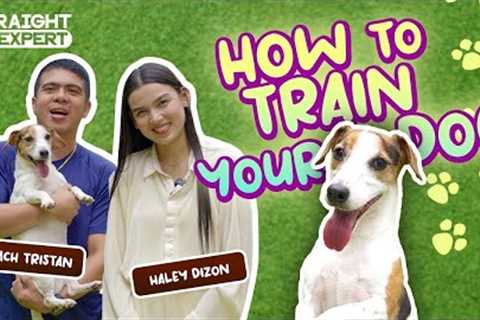 Straight From The Expert: How to Train Your Dog (Part 1)