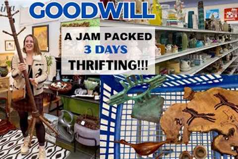 3 DAYS THRIFTING! Goodwill Thrift Haul | WE WENT BACK FOR IT!!!! It's worth $3,200.00!!!