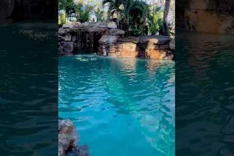 This tropical lagoon was designed to mimic an old Florida swimming hole. #insanepools #lucaslagoons