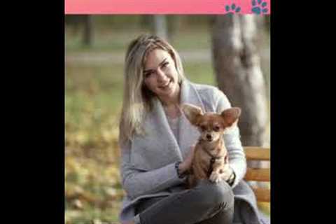 Cute Puppies 😍- Puppy &amp; Dog Training Tips Ep.66 #shorts