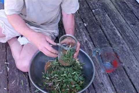 How to Make Fermented Plant Juice Amendments