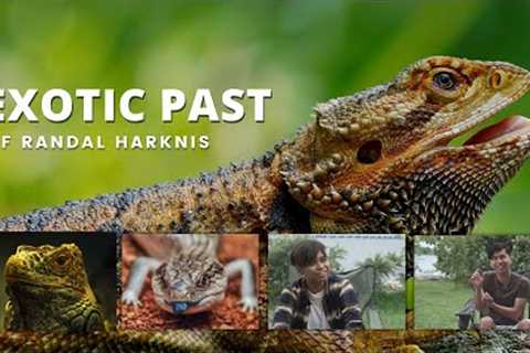 I Kept Exotic Pets in Singapore