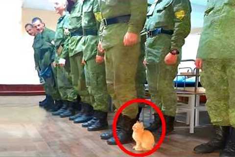 When Cats Are Being Total Little Humans 😂 Funny Cat and Humans