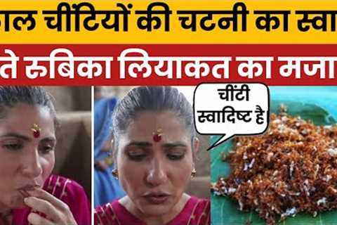 Rubika Liyaquat Trolled for Eating Red Ant Chutney | Viral Video Sparks Meme Fest on Social Media
