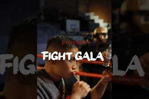 Fight Gala #boxing #shorts #trending #explore #foryou #fyp #foryoupage #fights #event #youtubeshorts