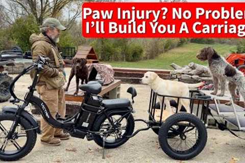 Puppy Pad Injury? No Problem, I'll build him a carriage!