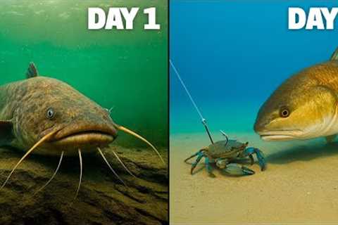 2 Days of Fishing for Whatever Bites