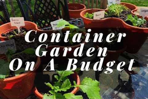 Container Gardening On A Budget | Dollar Tree