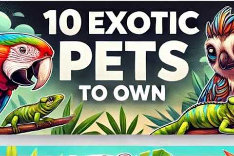 Top 10 Best Exotic Pets for Your Home: Unique and Fascinating Companions