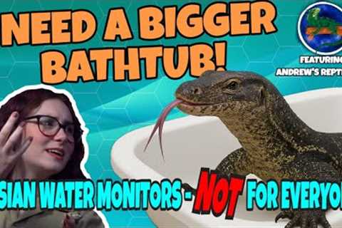So You Want an Asian Water Monitor? Maybe You Don’t! (featuring Andrew's Reptile Ark)