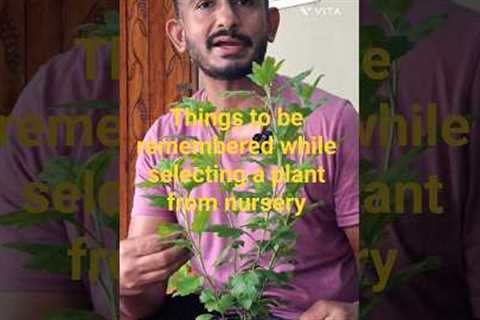 Selecting Right Plants For Our Garden #gardeningtips #gardening #plants #shorts #shortvideo
