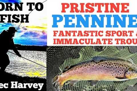 FLY FISHING - CATCHING QUALITY TROUT AT A LOVELY FISHERY.
